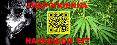 не бодяженный Камышлов