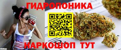 ECSTASY Кандалакша