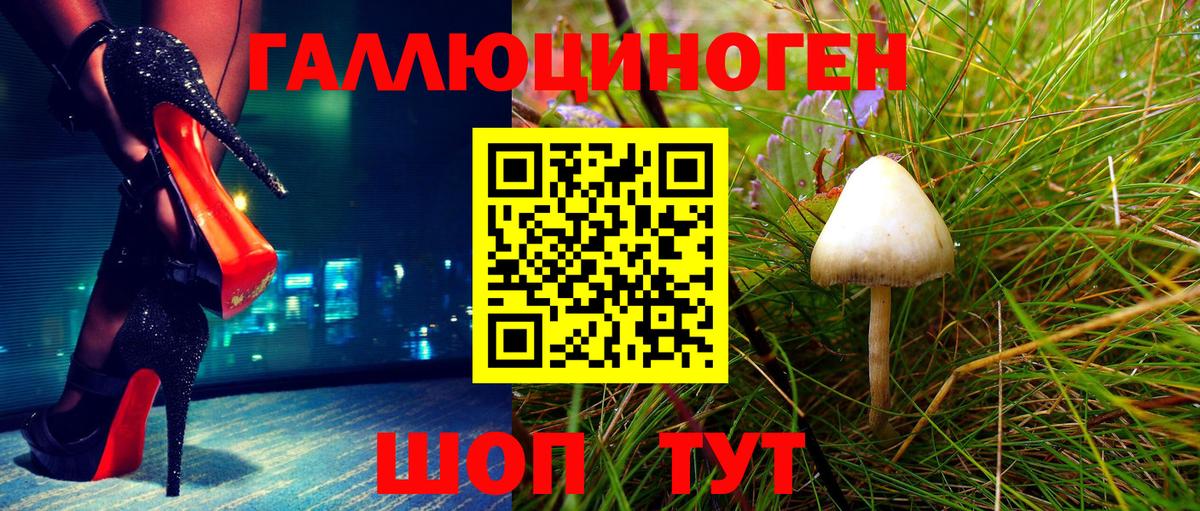 Галлюциногенные грибы Psilocybine cubensis  Вход с VPN  Краснокаменск 