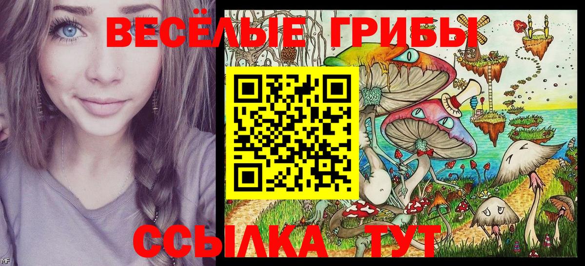 Псилоцибиновые грибы Psilocybine cubensis Краснокаменск